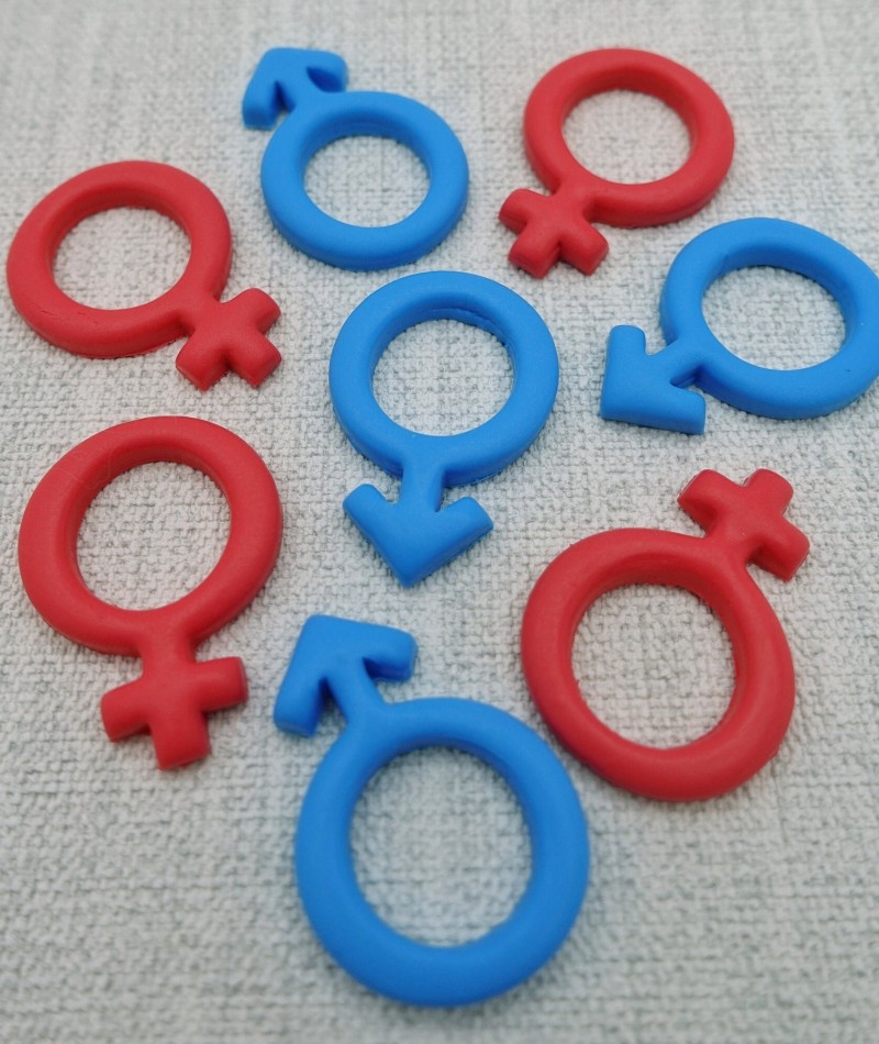Gender Symbol Earrings 