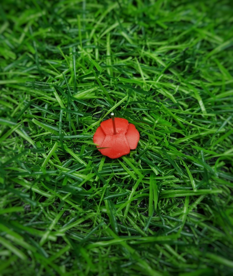 Red Poppy Stud Earrings 