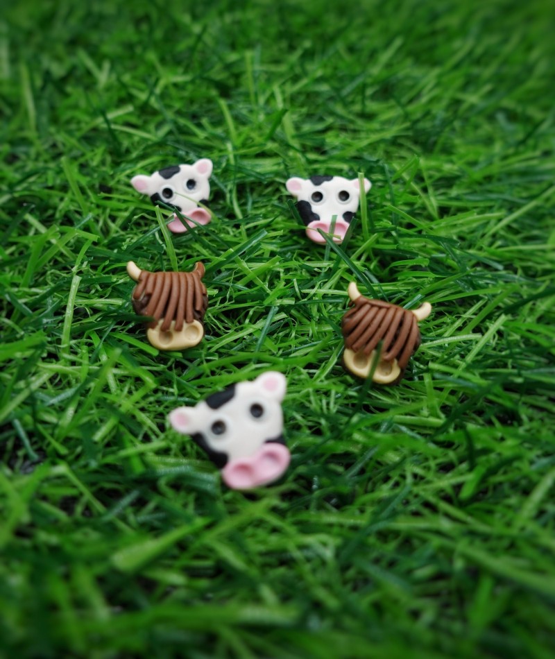 Cow Stud Set 