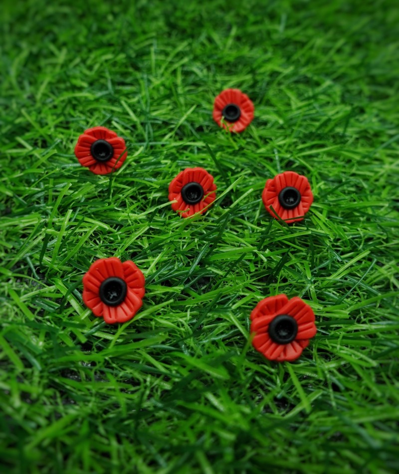 Red Poppy Stud Earrings 