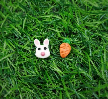 Easter Bunny Earrings 