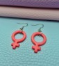 Gender Symbol Earrings 