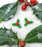 Holly Stud Earrings 