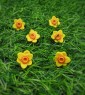 Daffodil Stud Earrings 